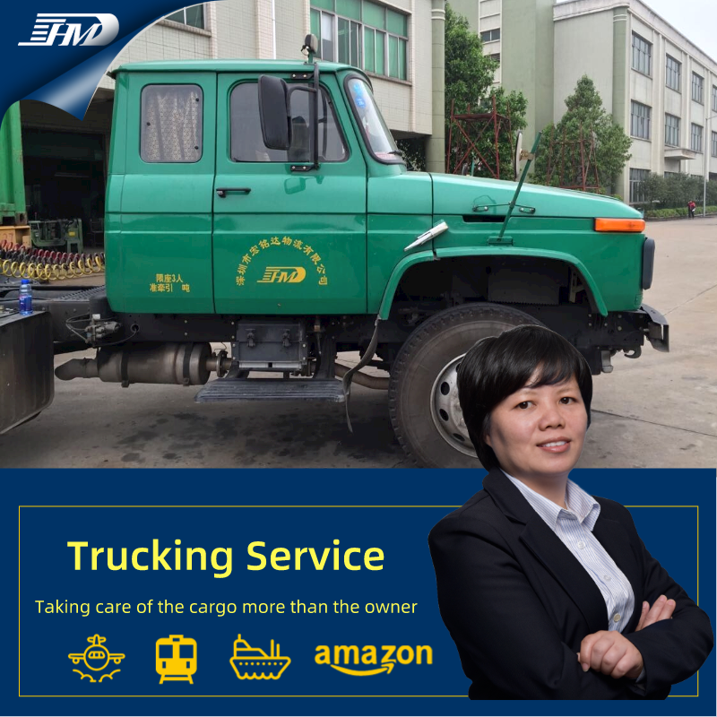 Agente de serviço de transporte por caminhão profissional de Shenzhen