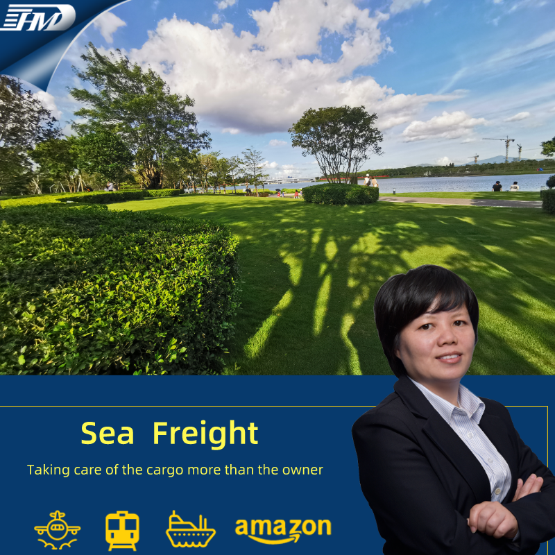 Transport maritime entre shenzhen freight forwarder et Singapour