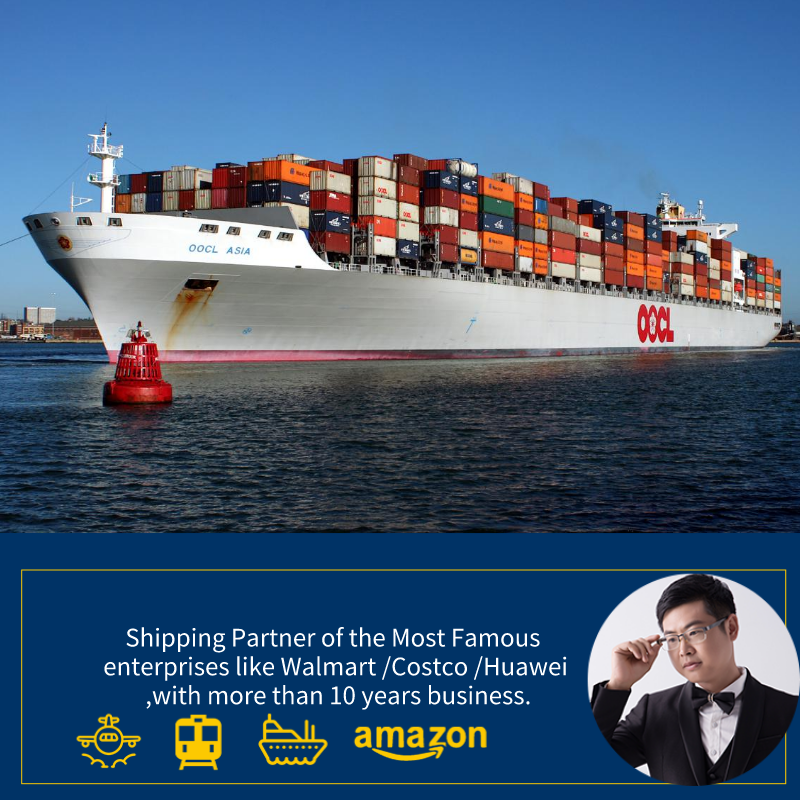 Shenzhen Freight Agent Ocean Freight Ship dalla Cina agli Stati Uniti