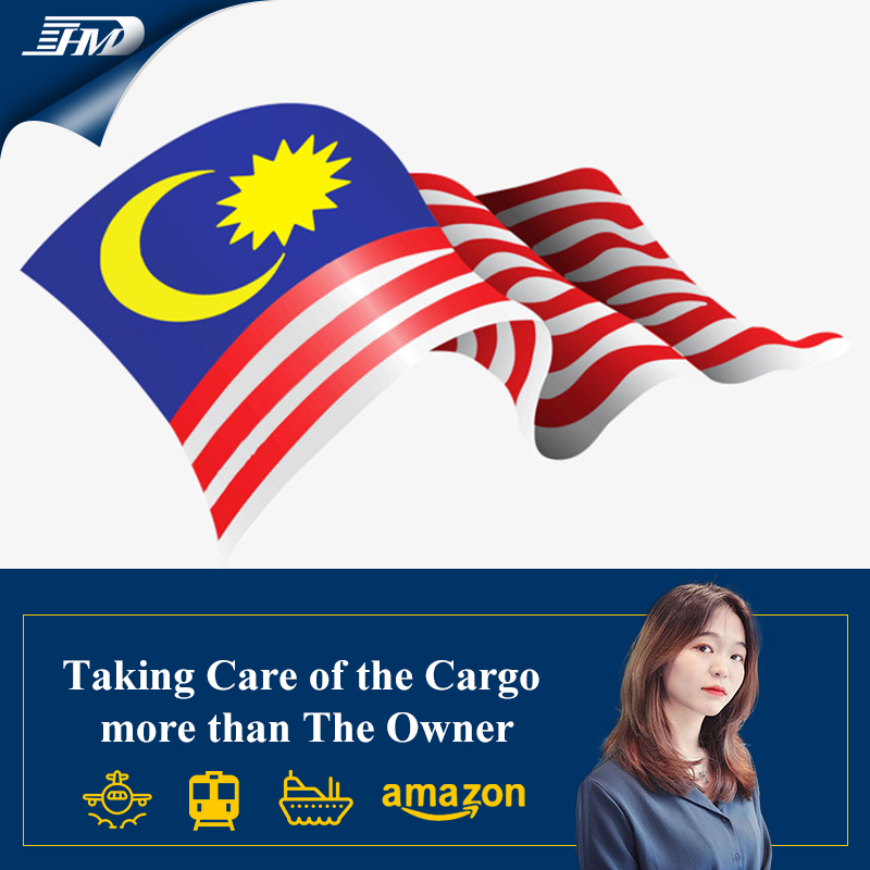 Agent transportowy Cargo Ship Drzwi do drzwi Spedytor Sea do Malezji