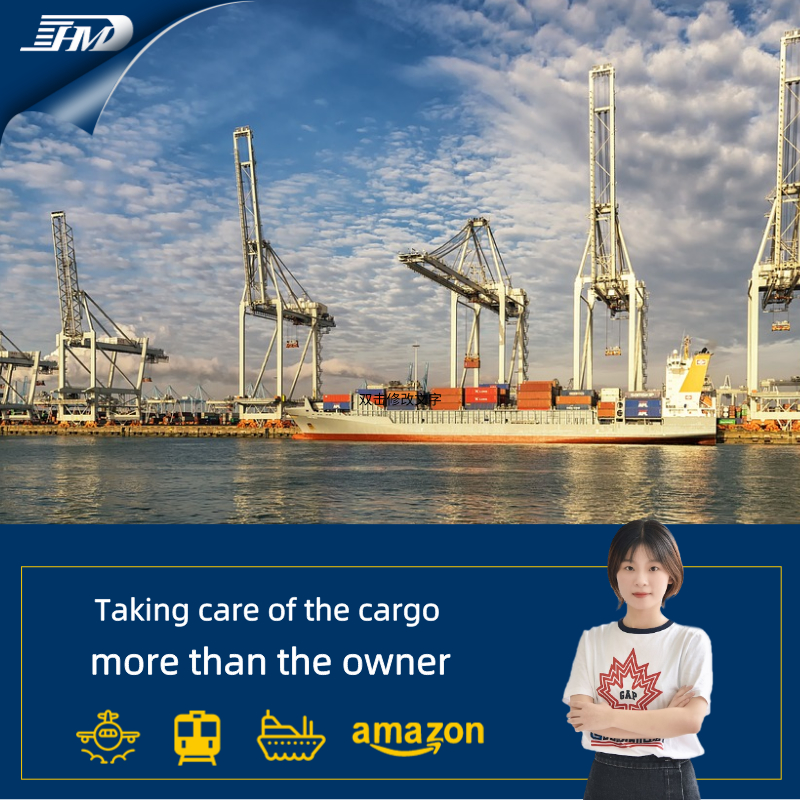 Transitarios internacionales de transporte marítimo de Shenzhen a Hamburgo