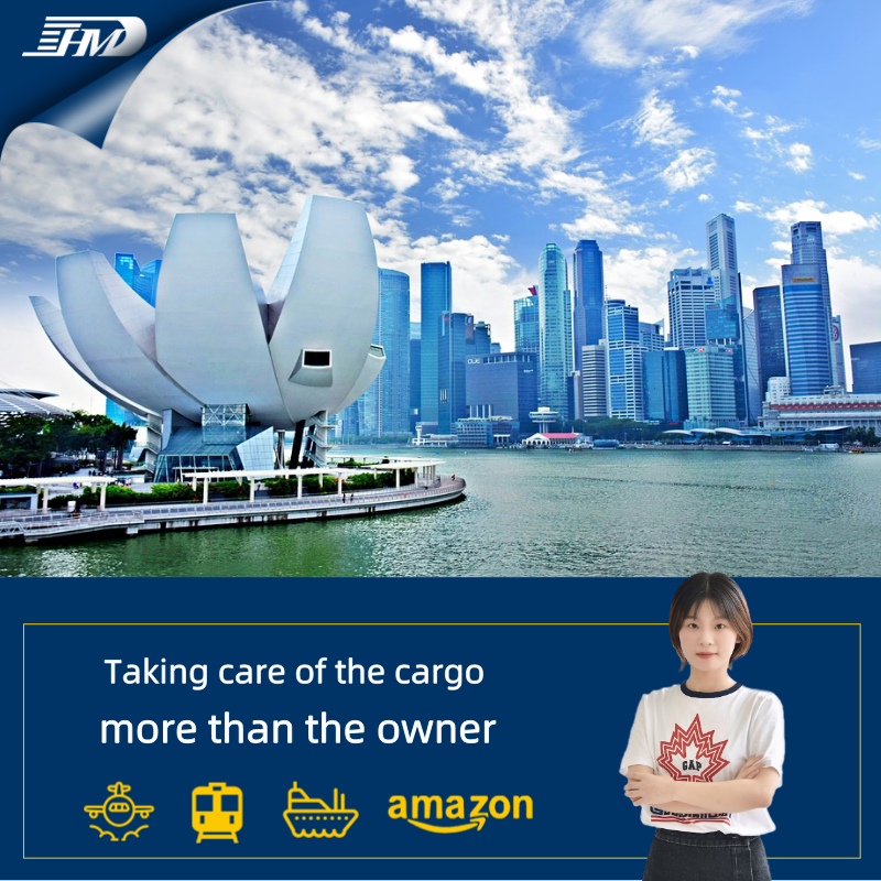 خدمة الشحن البحري DDP من قوانغتشو نينغبو إلى سنغافورة