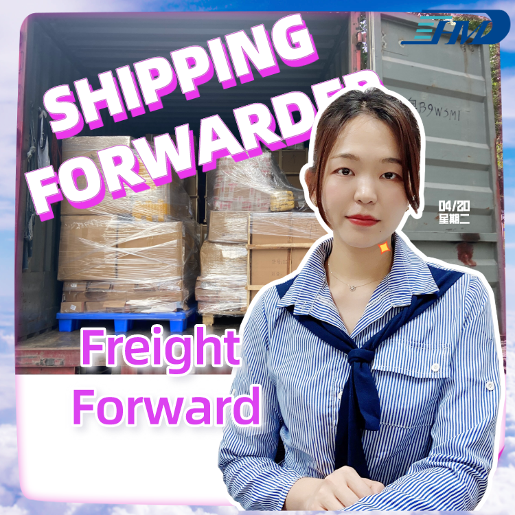 专业且可靠的货物运输航空货运代理商来自中国的空运到拉链航运公司货运代理者