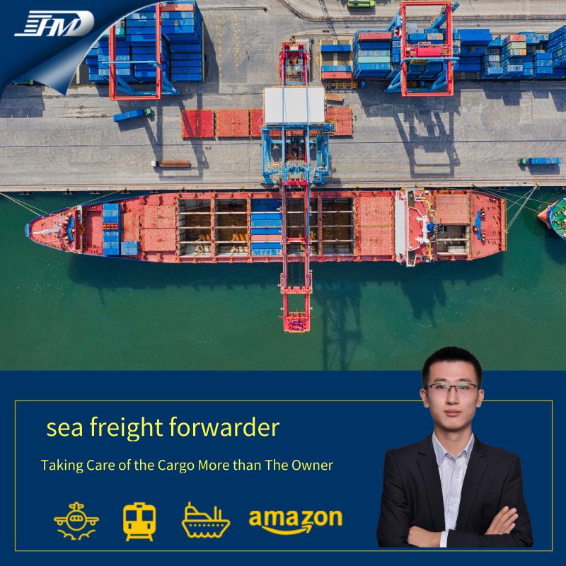 Schifffahrtskonsolidierung Ozeanfrachtschifffahrtssweiterspediteur von China nach Frankfurt Deutschland Tür-zu-Tür-Service
