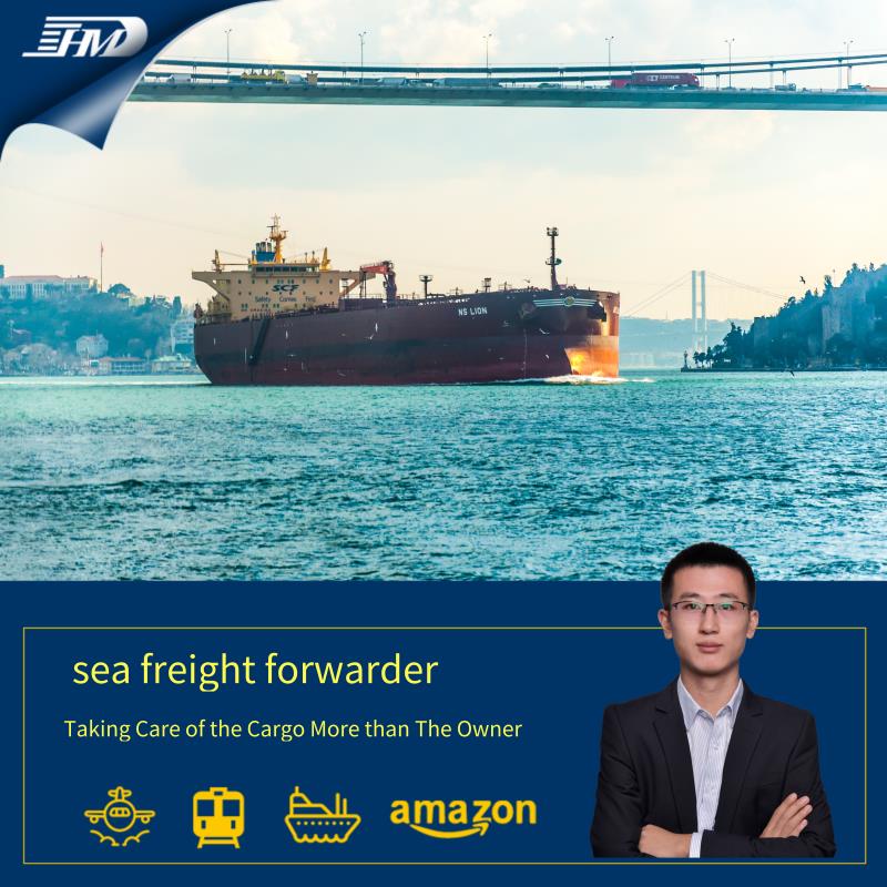 Transitaire de fret maritime de Shenzhen Chine à Montpellier France agent maritime livraison porte à porte