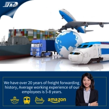 China Air Sea Shipping von Guangzhou China in Chicago USA Miami USA Tür zu Tür Hersteller