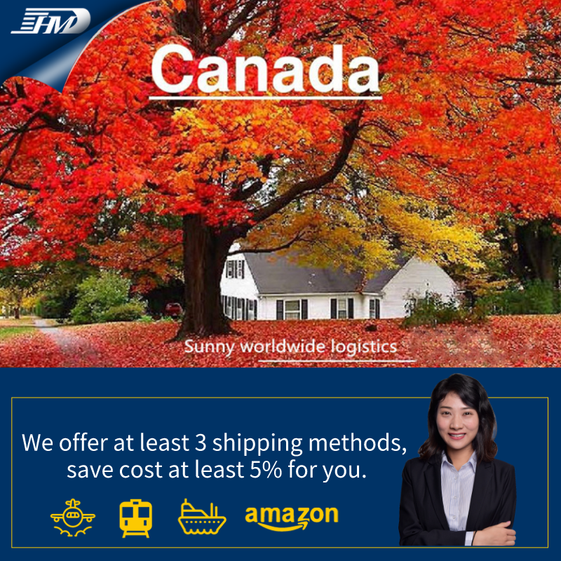 Transporte marítimo confiable desde China a Canadá con servicio de despacho de aduanas puerta a puerta