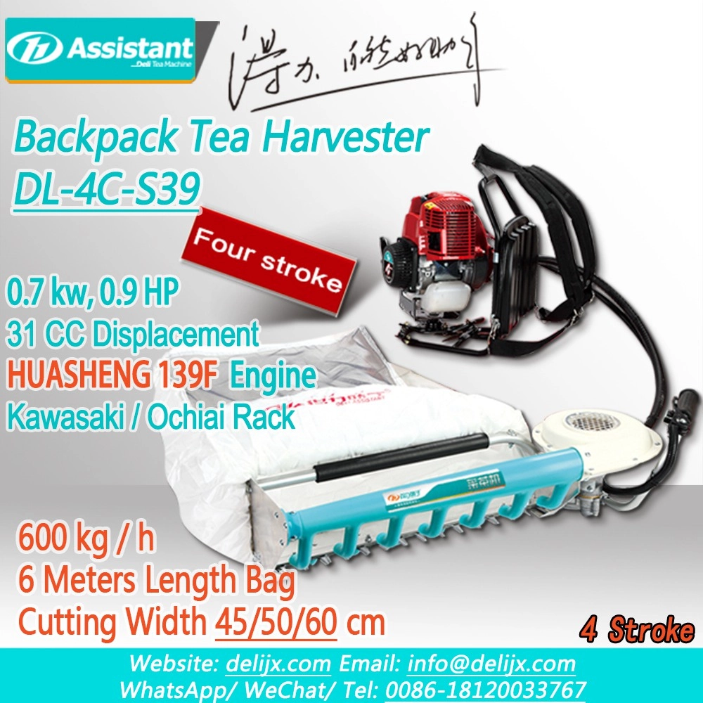 HUASHENG 139F 4 Stroke Engine With 600mm Cutting Width Tea Collection Machine DL-4C-S39