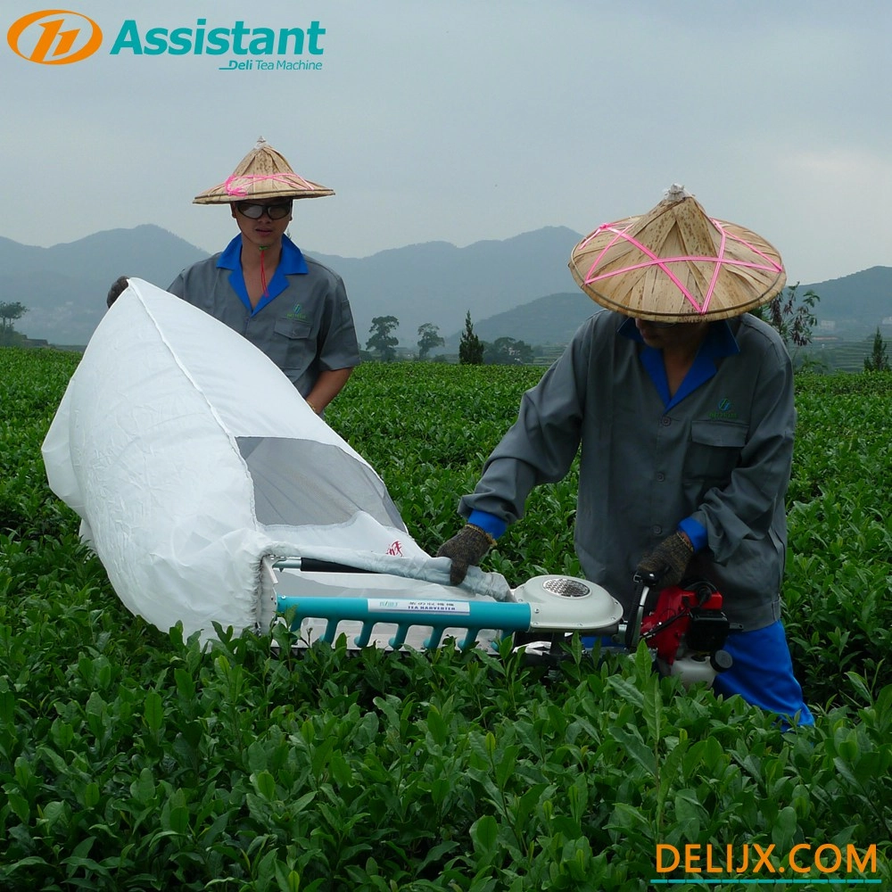 Machine à main de récolte de feuilles de thé à 2 temps avec moteur NATIKA DL-4C-T50A5