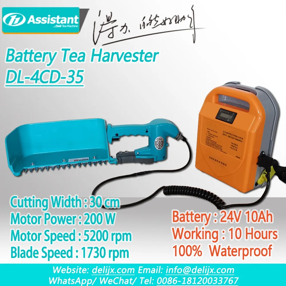 
24V 10Ah Lithium Battery Dikendalikan Brushless Mini Tea Harvester DL-4CD-35