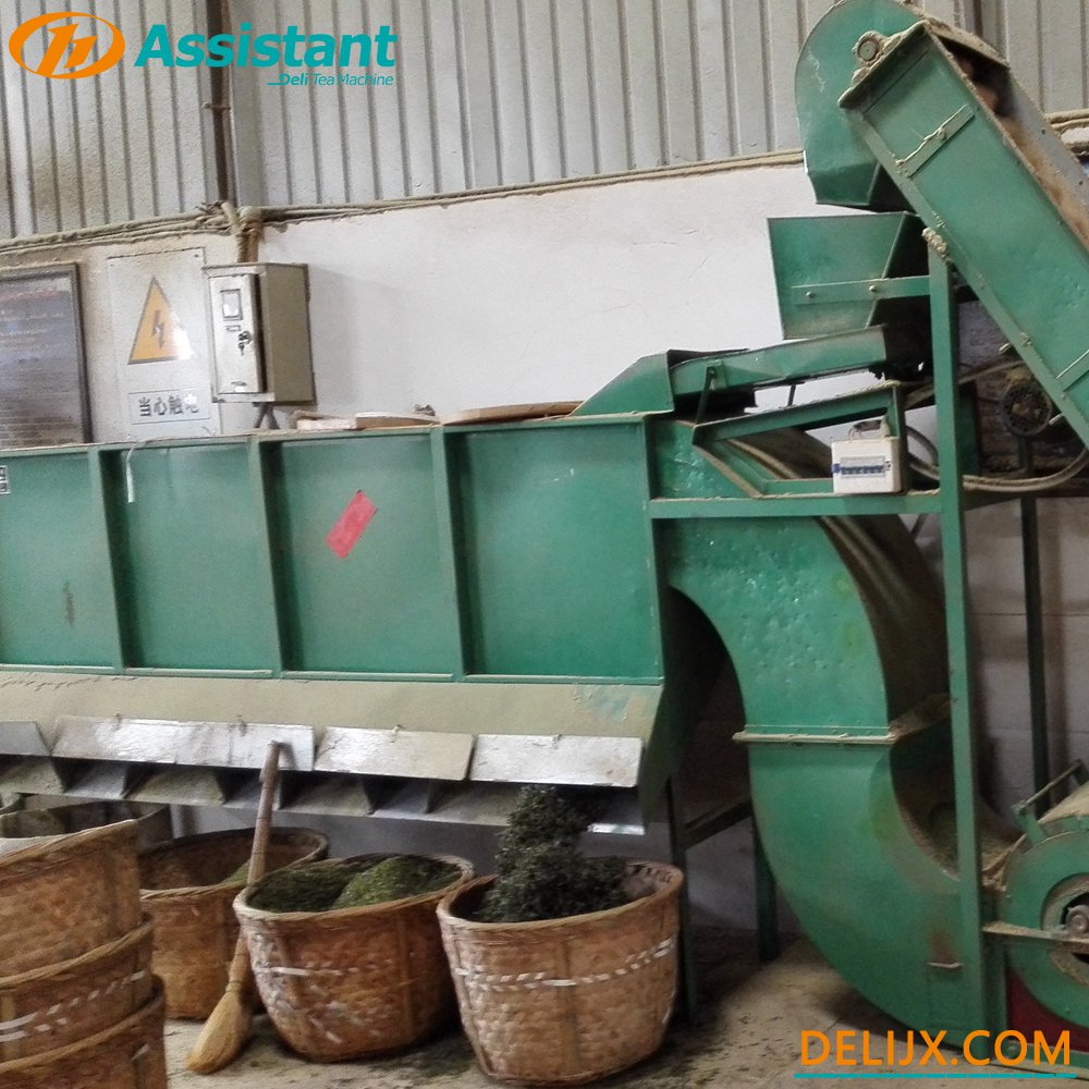 China Continuous Type 4 Outlet Tea Leaf Winnowing Sorting Machine DL-6CFX-40 manufacturer