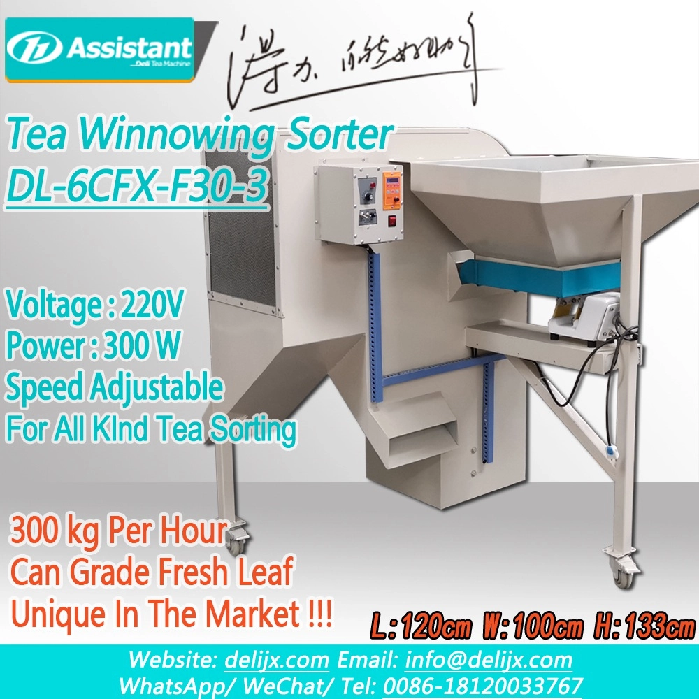 Nouveau type de machine de nettoyage de tri de vannage de feuilles de thé finies