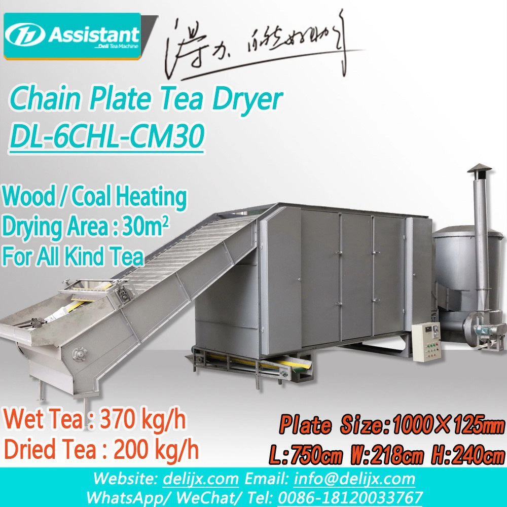 Secadora continua de té con placa de cadena de calentamiento de madera / carbón DL-6CHL-CM30