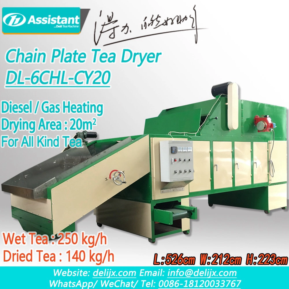 China Diesel Heating Continuous Chain Plate Type Tea Drying Machine DL-6CHL-CY20 manufacturer