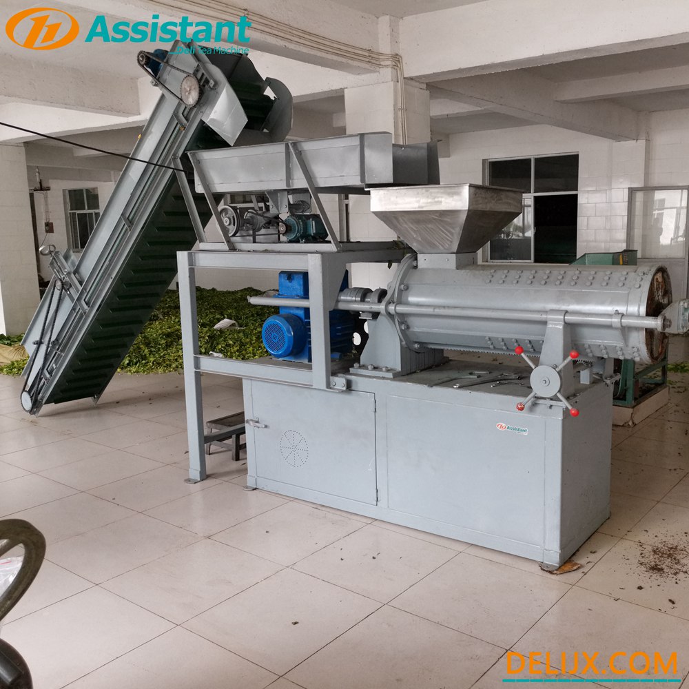 Chine 
Hrs Rotorvane CTC Tea Crush Tear and Curl Machine DL-6CRQ-450 fabricant