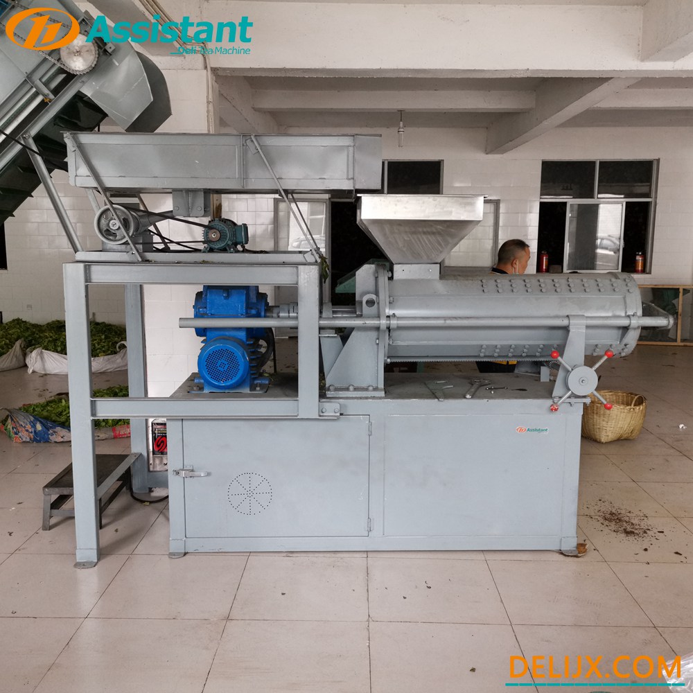 Chine 
Hrs Rotorvane CTC Tea Crush Tear and Curl Machine DL-6CRQ-450 fabricant