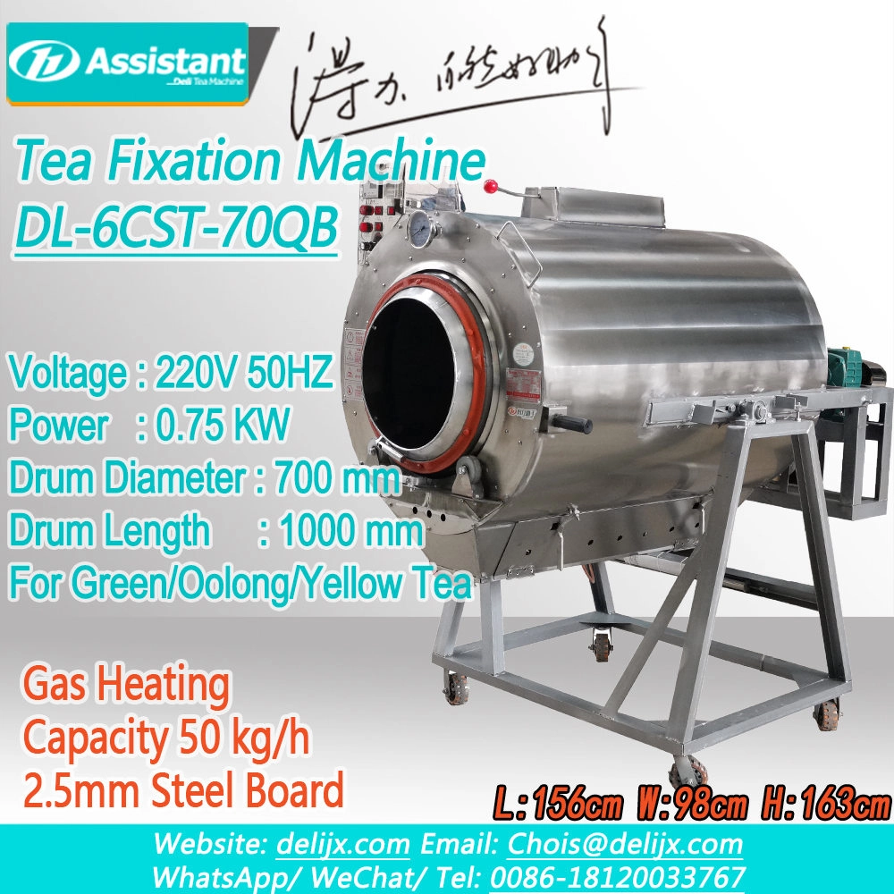 
Machine à la vapeur DL-6CST-70QB de thé vert de cylindre de diamètre de 70cm
