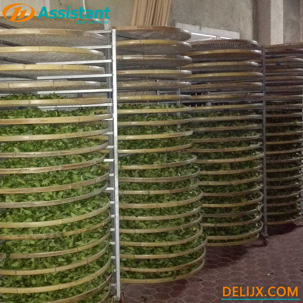 porcelana 
Con 20 paletas de bambú para té, estante de marchitamiento natural DL-TQJ-20 fabricante