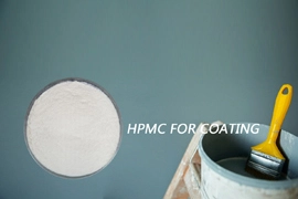 China How does Welldone™ HPMC work in coating manufacturer