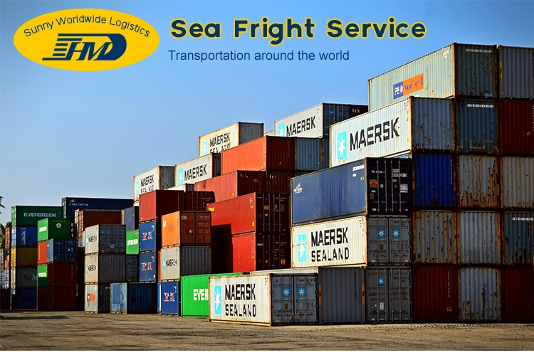 China shipping company sea freight shipping from Shanghai to Hamburg Germany door to door 