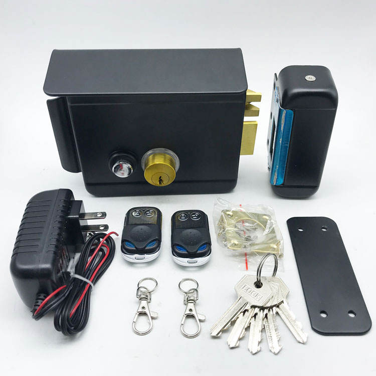 DC12V Access Entry Security System Electronic Doorlock, Anti-theft Electric Rim Lock Metal Door Main Gate Lock