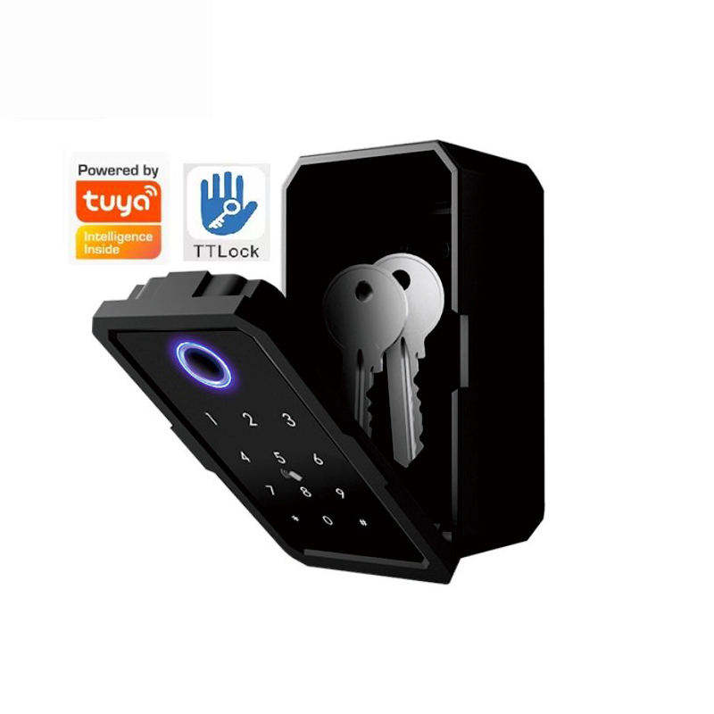 Elektroschloss Ersatzschlüsselaufbewahrung Smart Box Tuya Outdoor-Fernbedienung Passwort Fingerabdruck Safe Schlüsselkasten