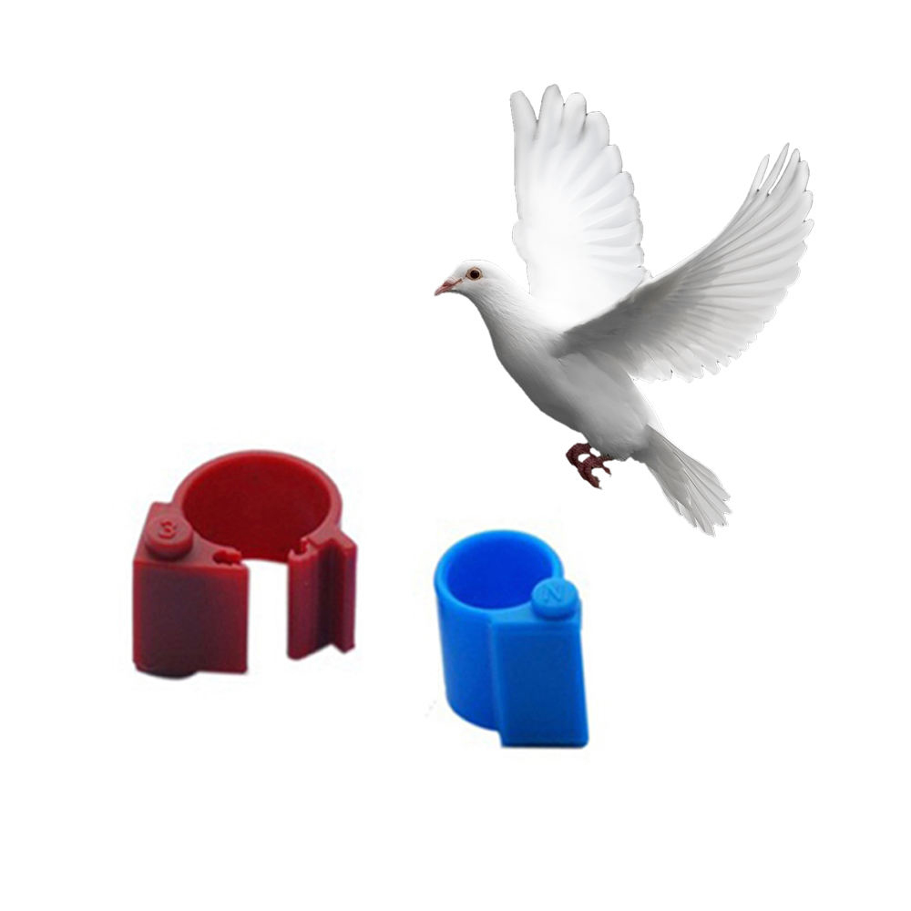Hitags256 RFID anneau de pigeon de course fournit des accessoires