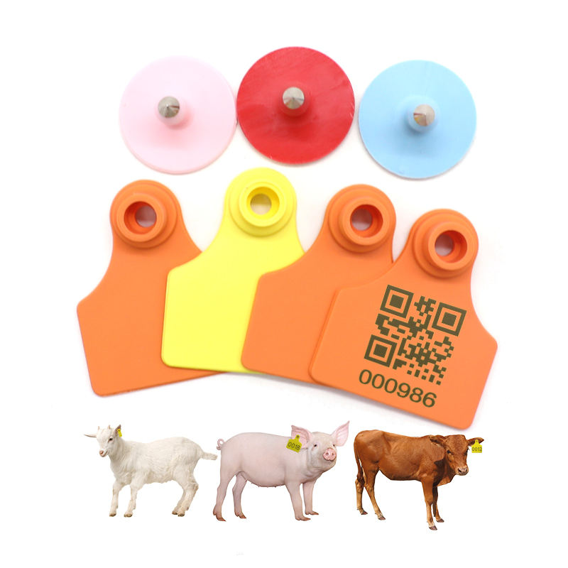 étiquette d'oreille de chèvre de mouton étiquette d'oreille de triangle de vache étiquette d'oreille de porc vert