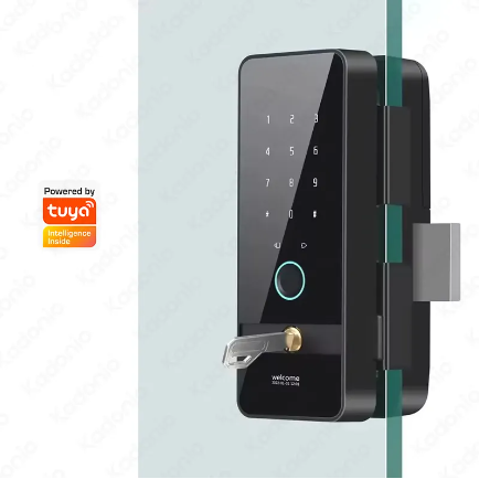 Kadonio – verrou à crochet intelligent magnétique, boulon électrique, biométrique pour porte coulissante en verre et aluminium, boutons de porte en verre