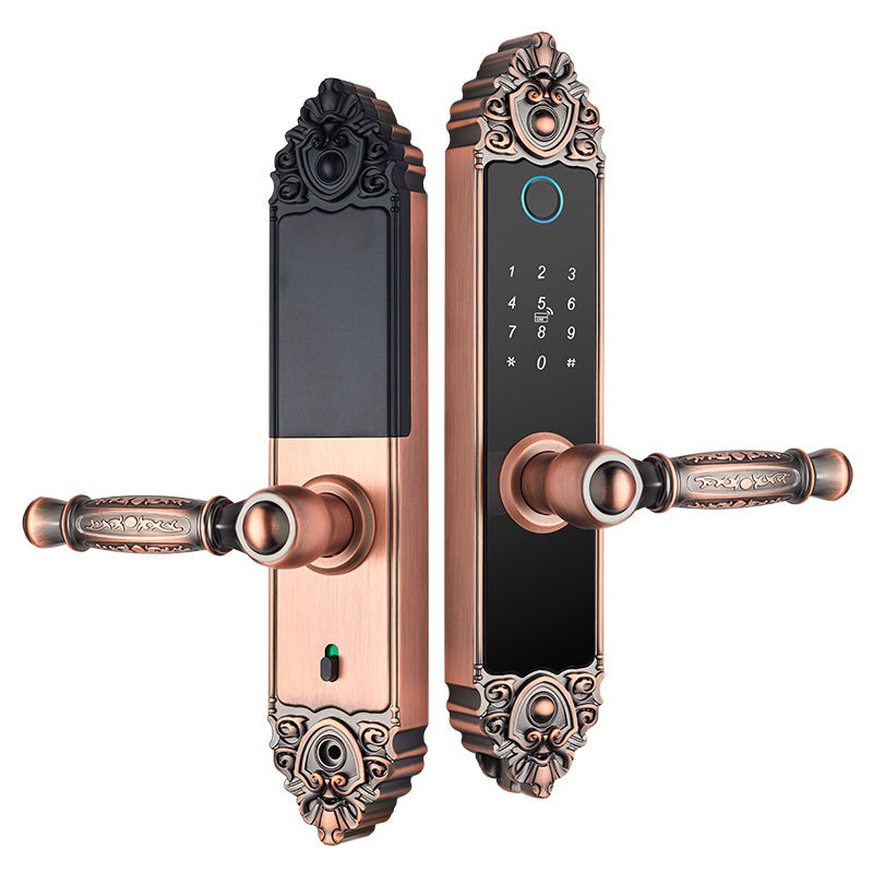 Serrure de porte de sécurité avec mot de passe à empreintes digitales, style européen, vente en gros d'usine, version TTlock et TUYA en option