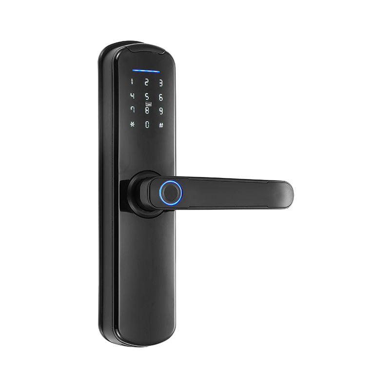 Serrure TT étanche, application Tuya WiFi, poignée de porte biométrique intelligente à empreintes digitales, serrure numérique sans clé