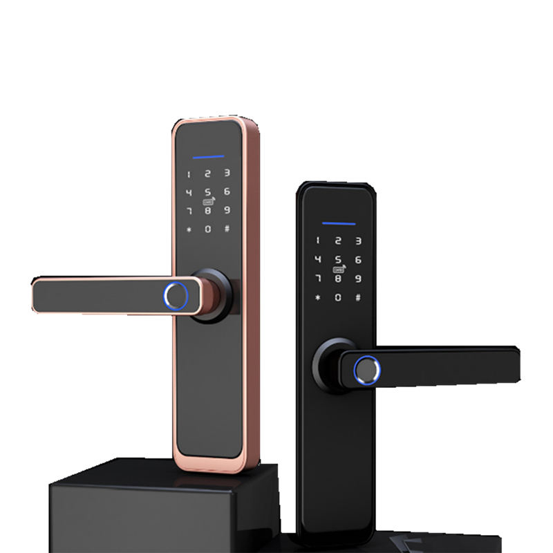 Serrure intelligente Wifi Tuya TTlock, nouveau Style, empreinte digitale, Code de passe, carte, clé, serrure de porte intelligente