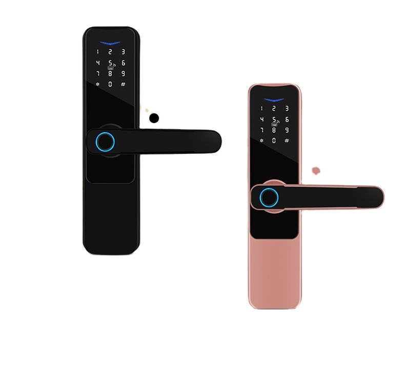 Serrure de porte numérique électrique intelligente, étanche, pour maison, hôtel, porte en bois, sécurité sécurisée, réseau WiFi, Cloud