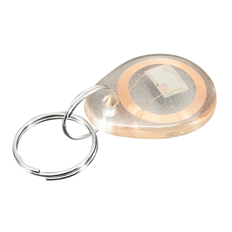 125Khz/13,56 Mhz TK4100 EM4200 EM4305 T5577 Chip RFID llavero etiqueta llavero Control de acceso llavero RFID