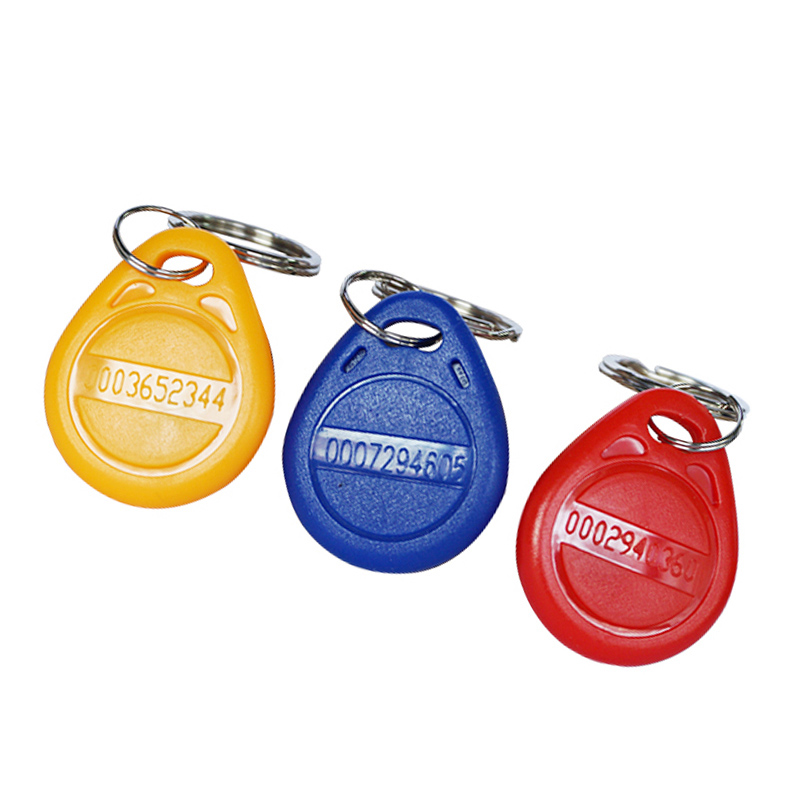 Llaveros Rfid Em4100 Tk4100 de 125khz, etiquetas Token, llaveros, tarjeta de identificación, Control de acceso de solo lectura, tarjeta Rfid