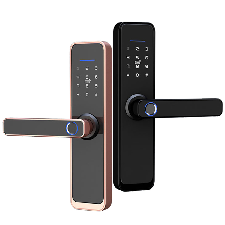 Serrure de porte intelligente biométrique électronique sans clé, contrôle Mobile, Tuya, Wifi, empreintes digitales, pour façade d'hôtel