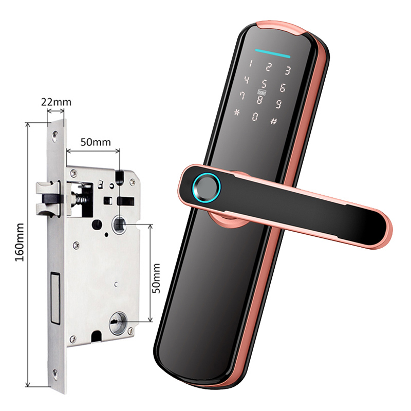 Tuya – serrure de porte intelligente en bois, sécurité domestique, pêne dormant électrique, carte numérique, application biométrique, serrure de porte à empreintes digitales