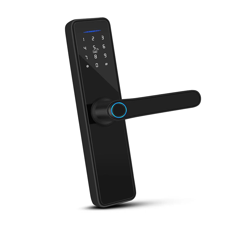 Serrure numérique de porte d'hôtel à domicile, carte de mot de passe à empreintes digitales, serrures de porte intelligentes, serrure de porte avant intelligente