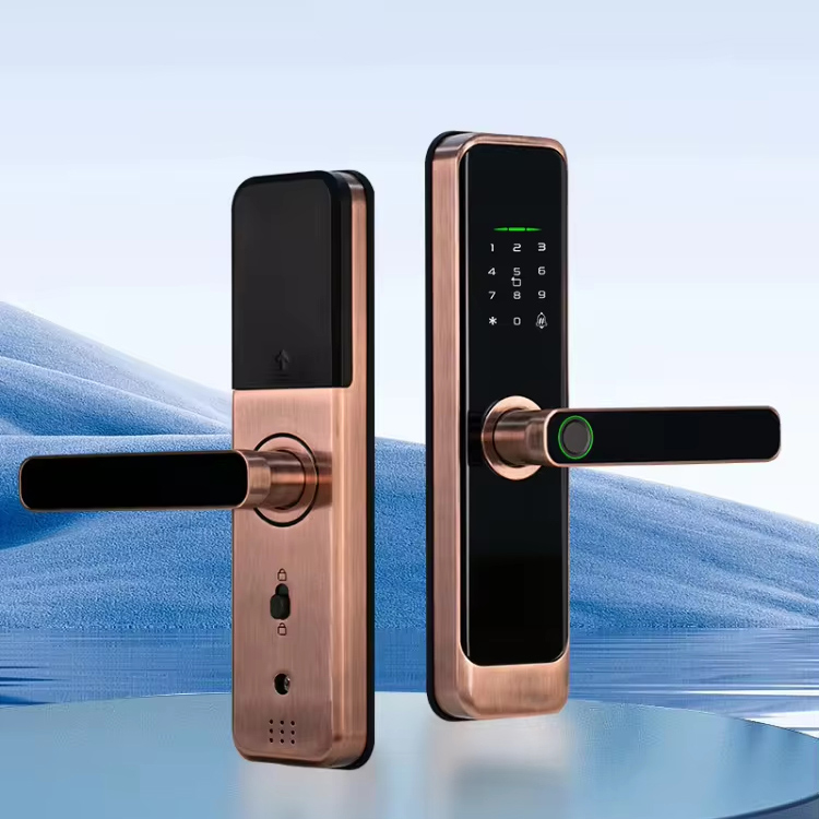 Serrure de porte intelligente, carte à empreintes digitales, Tuya Wifi TTlock APP caméra judas œil de chat, nouvel arrivage
