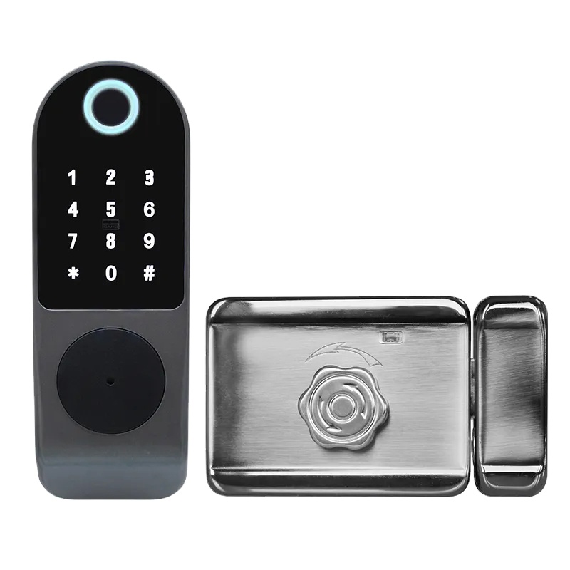 Zigbee – serrure de porte intelligente étanche, TTLock, WiFi, empreintes digitales, levier de maison, casier de porte électronique à pêne dormant