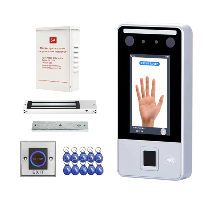 Control de acceso de reconocimiento facial 600LB Cerradura magnética eléctrica Interruptor de fuente de alimentación 10 Sistemas de llaveros kit de seguridad