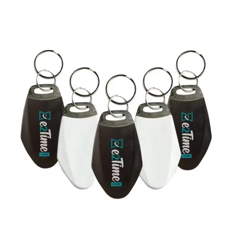 Erişim Kontrol Sistemi için THIPL TK4100/MIFA1K SMART CHIP KEYTAG ile Toptan Özelleştirme LF/HF Abs Metal Keyfoblar