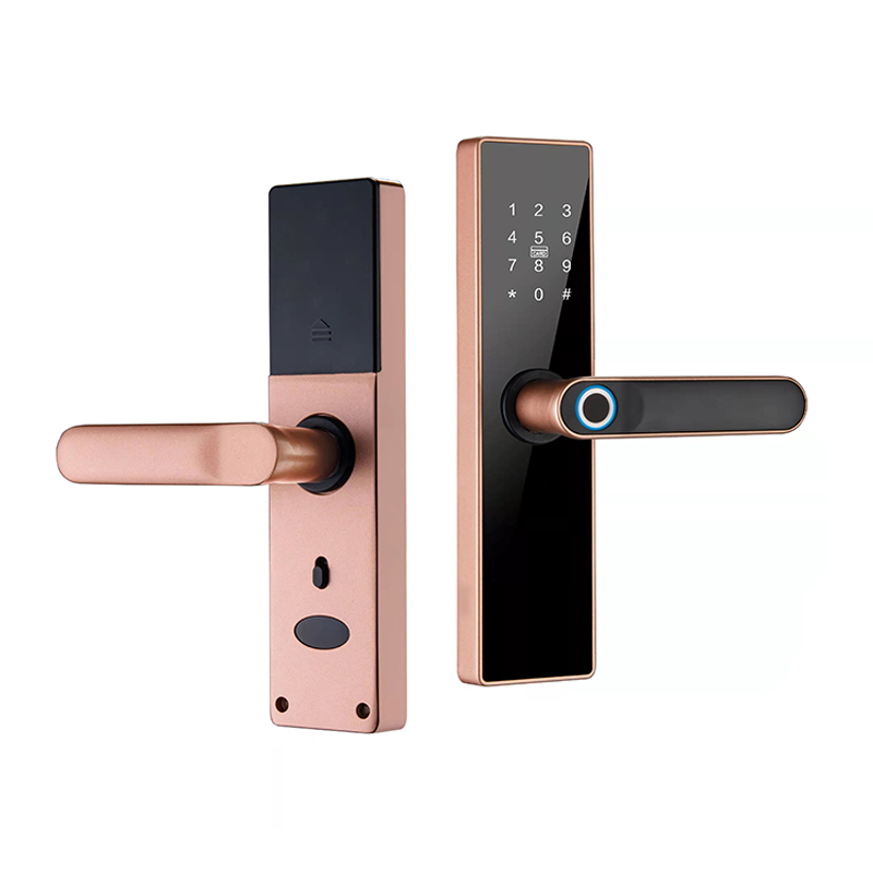 Verrouille de porte intelligente numérique haute sécurité Smart Ble Tuya Wifi Empreinte digitale Electronicles sans clé Lock