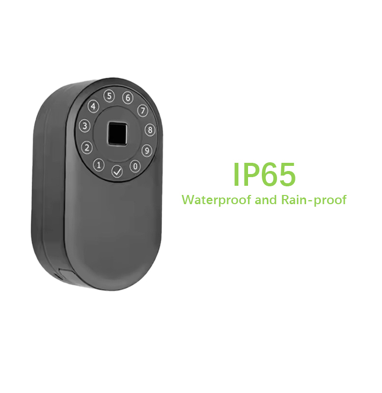 Casella di archiviazione a chiave sicura Biometrica WiFi digitale elettronica TTLOCK TUYA FINCIPRIT IMPRINT Smart Key Lock Box