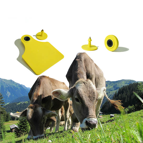 Livestock Rfid Barcode Animal ID Tracking Animal Ear Tag for Cattle / Sheep / Pig / Cow Passive UHF RIFD Animal Ear Tag