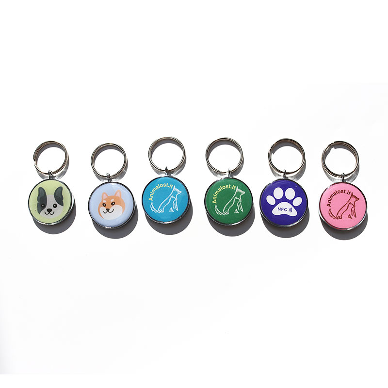 Tag a chiave epossidica RFID tag NFC 213 PETS personalizza il tastie di controllo dell'accesso TASSE CHIAVE Smart NFC Smart NFC