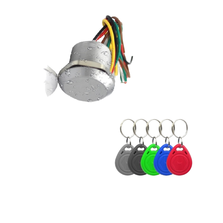 Mini sistema di controllo accessi di prossimità RFID 125kHz/13,56MHz Lettori di schede in materiale ABS