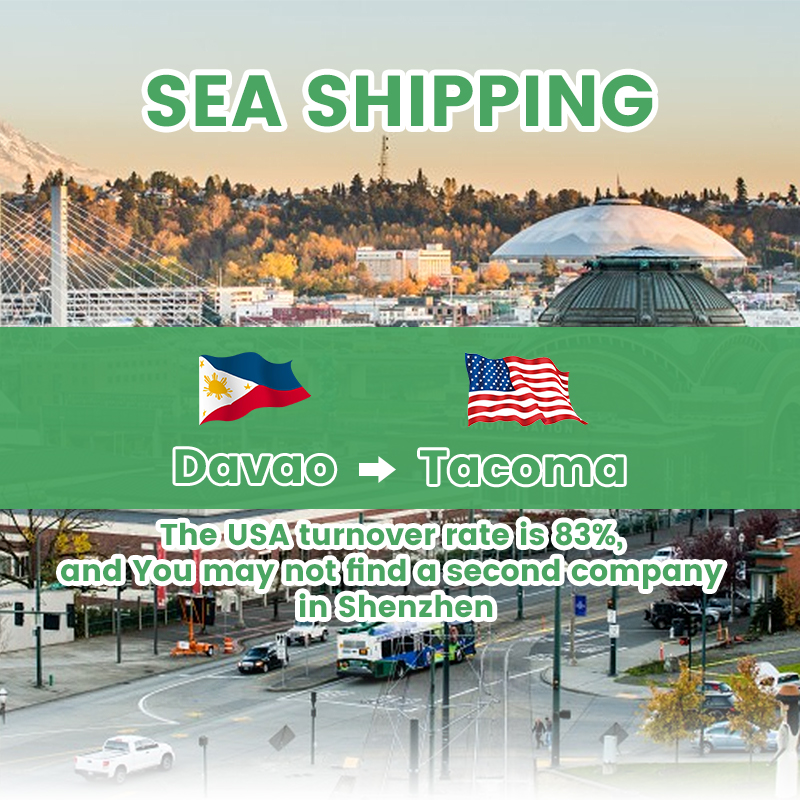 Shenzhen shipping agency from Philippines to USA sea freight door to door delivery