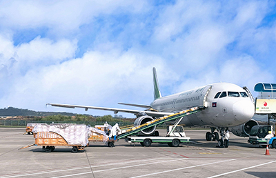 Air freight China to Philippines Shein clothes shipping forwarder, Sunny Worldwide Logistics