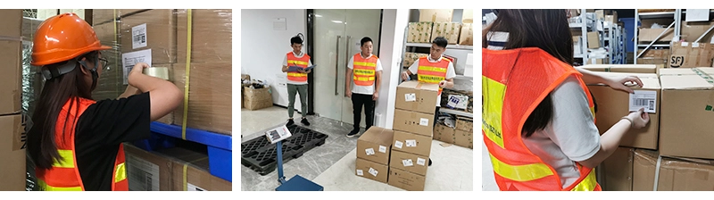 Alibaba Golden Member freight forwarder air shipping door to door service, Sunny Worldwide Logistics